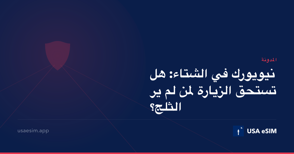 نيويورك في الشتاء: هل تستحق الزيارة لمن لم ير الثلج؟