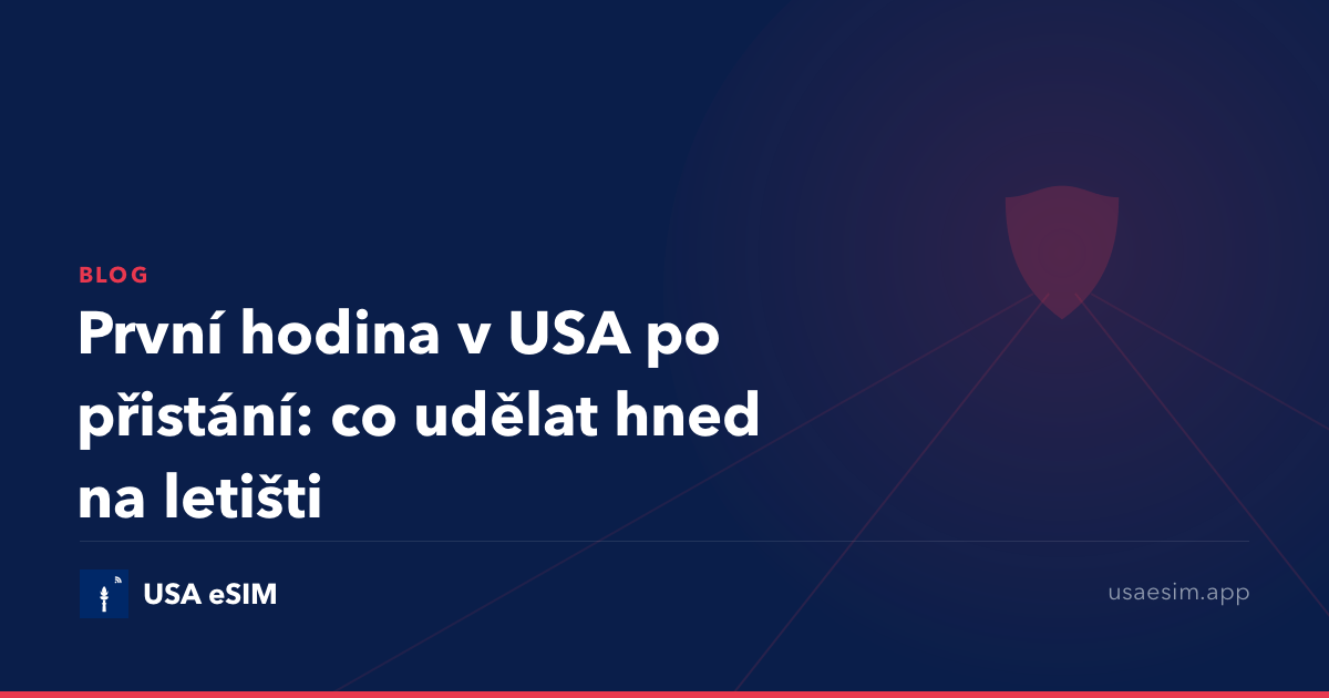 První hodina v USA po přistání: co udělat hned na letišti