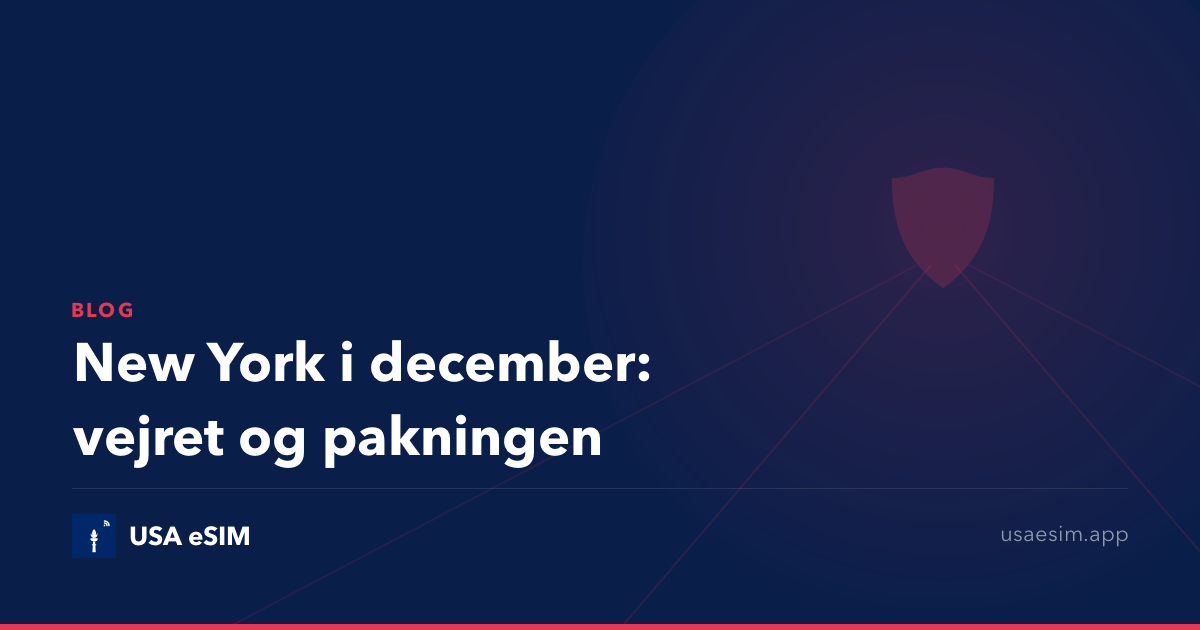 New York i december: vejret og pakningen