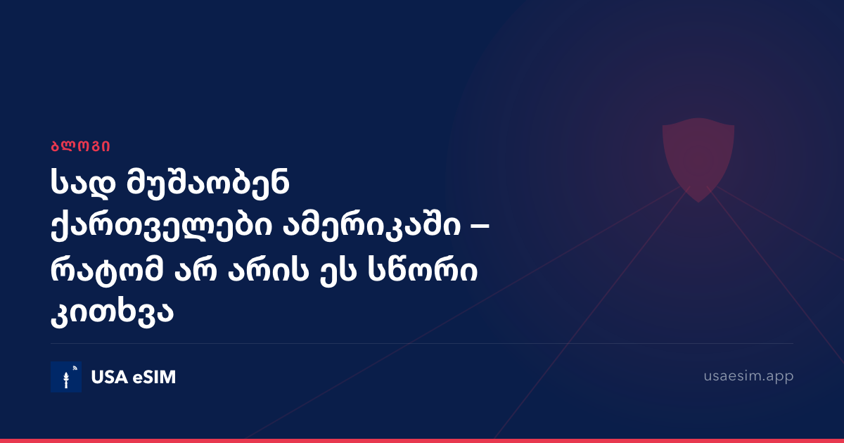სად მუშაობენ ქართველები ამერიკაში — რატომ არ არის ეს სწორი კითხვა