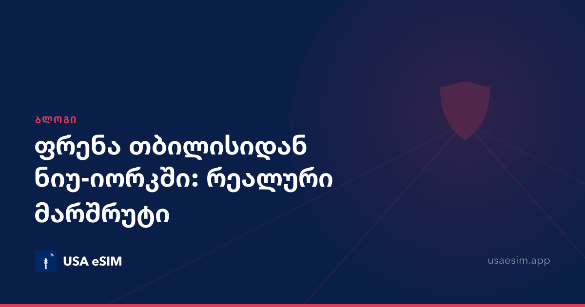 ფრენა თბილისიდან ნიუ-იორკში: რეალური მარშრუტი