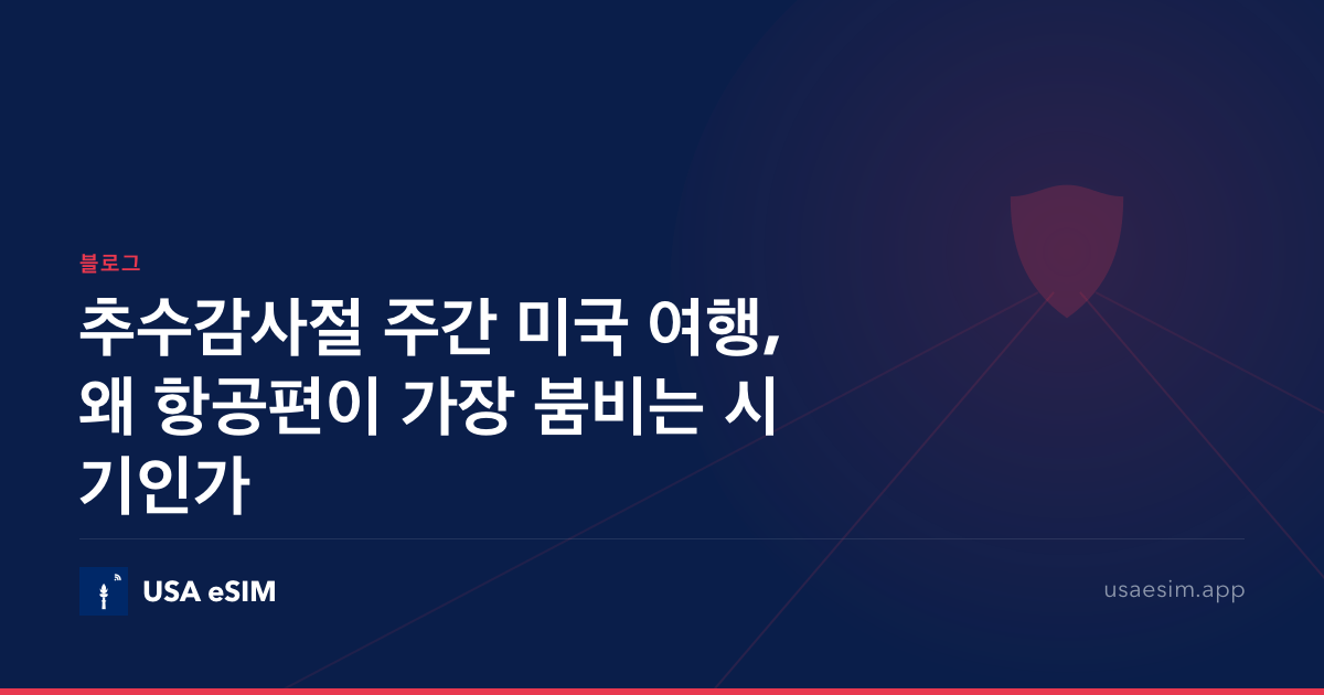 추수감사절 주간 미국 여행, 왜 항공편이 가장 붐비는 시기인가