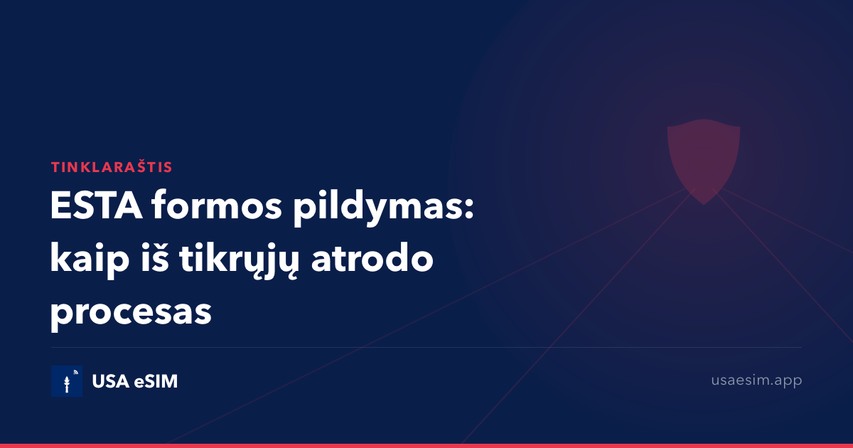 ESTA formos pildymas: kaip iš tikrųjų atrodo procesas