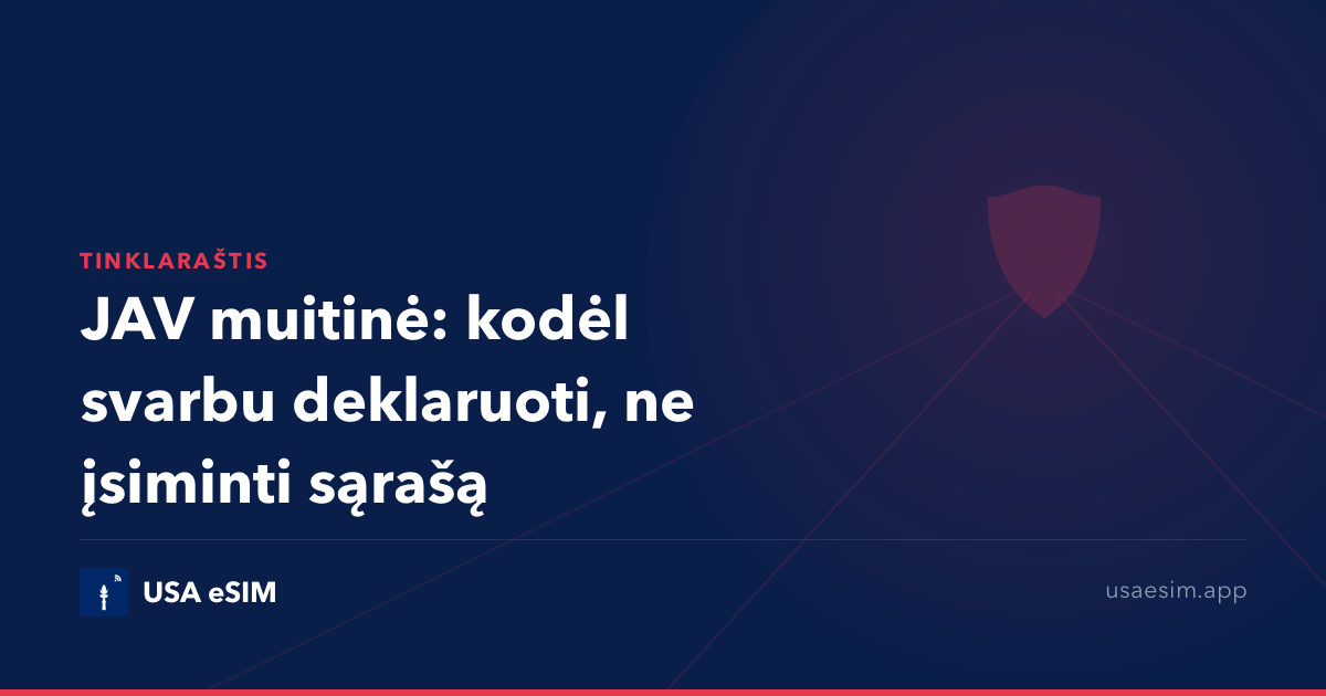 JAV muitinė: kodėl svarbu deklaruoti, ne įsiminti sąrašą