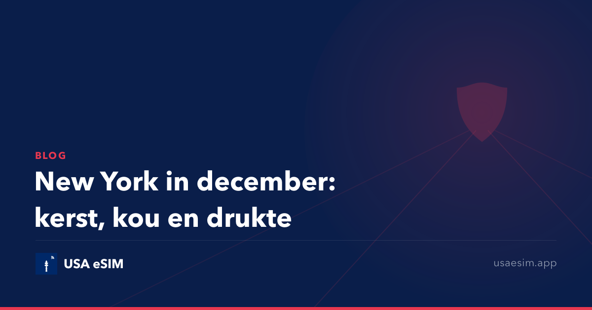 New York in december: kerst, kou en drukte