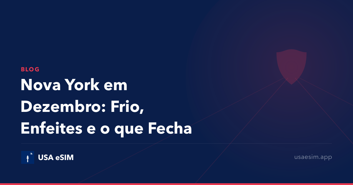 Nova York em Dezembro: Frio, Enfeites e o que Fecha