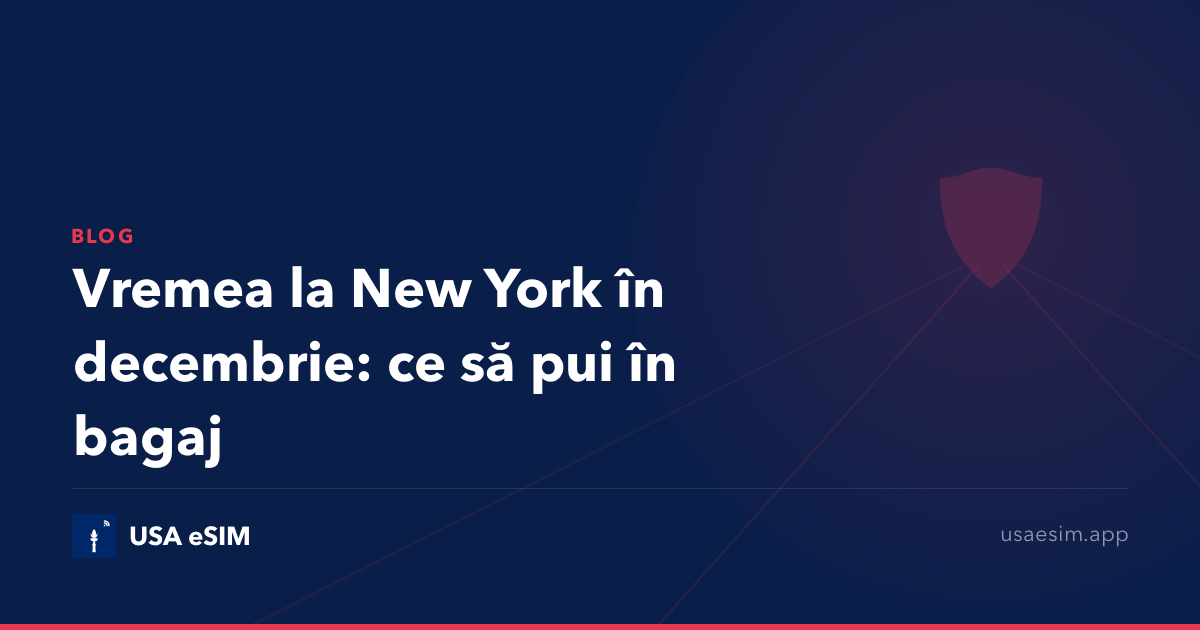 Vremea la New York în decembrie: ce să pui în bagaj