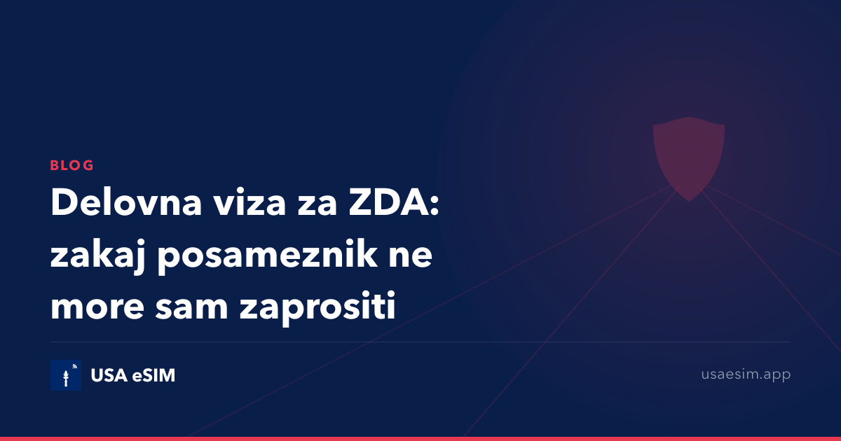 Delovna viza za ZDA: zakaj posameznik ne more sam zaprositi