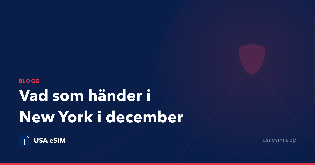 Vad som händer i New York i december