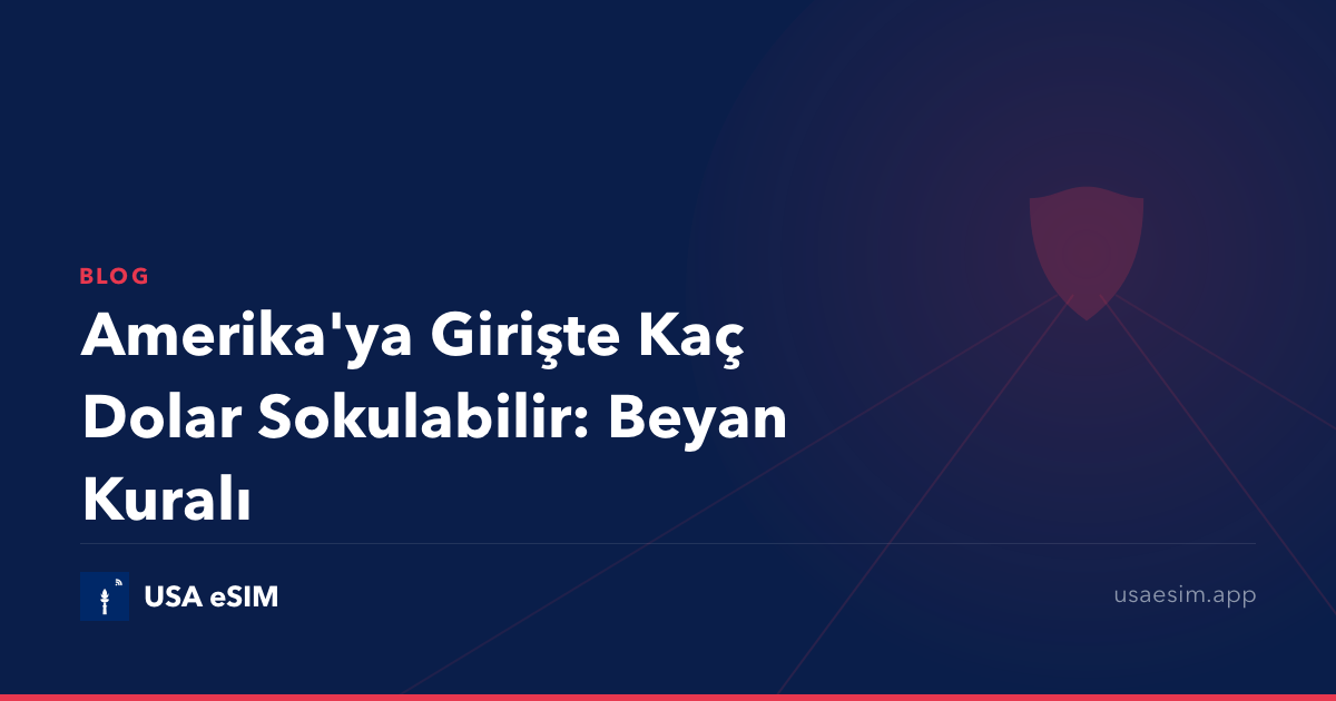 Amerika'ya Girişte Kaç Dolar Sokulabilir: Beyan Kuralı
