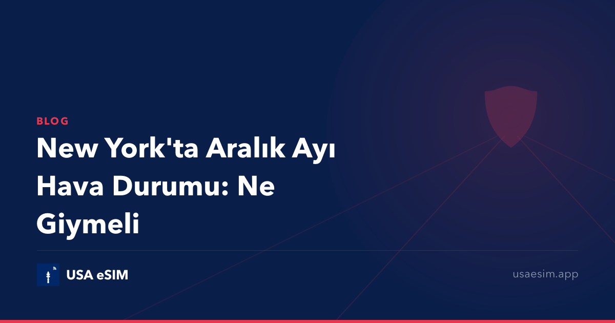 New York'ta Aralık Ayı Hava Durumu: Ne Giymeli