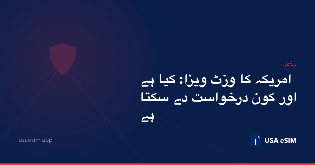 امریکہ کا وزٹ ویزا: کیا ہے اور کون درخواست دے سکتا ہے