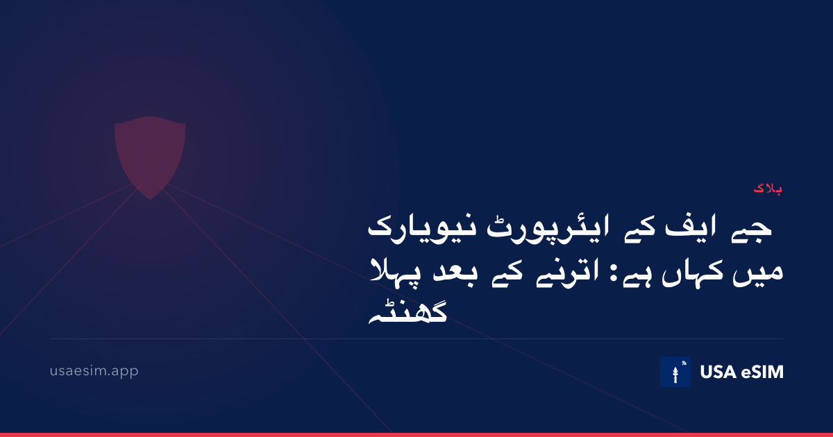 جے ایف کے ایئرپورٹ نیویارک میں کہاں ہے: اترنے کے بعد پہلا گھنٹہ