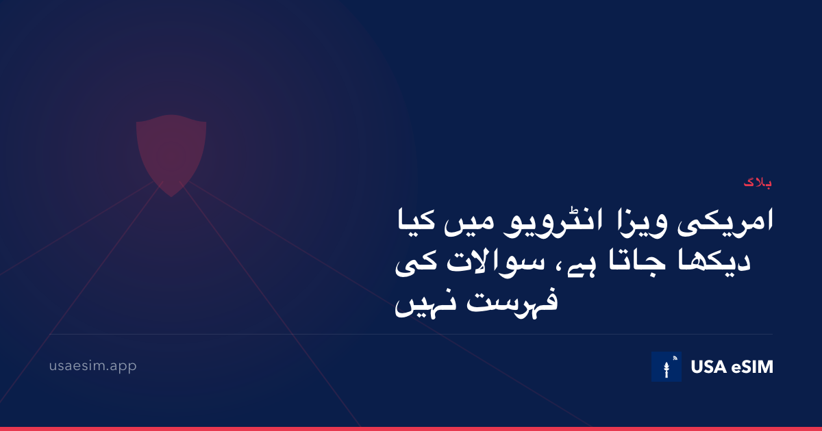امریکی ویزا انٹرویو میں کیا دیکھا جاتا ہے، سوالات کی فہرست نہیں