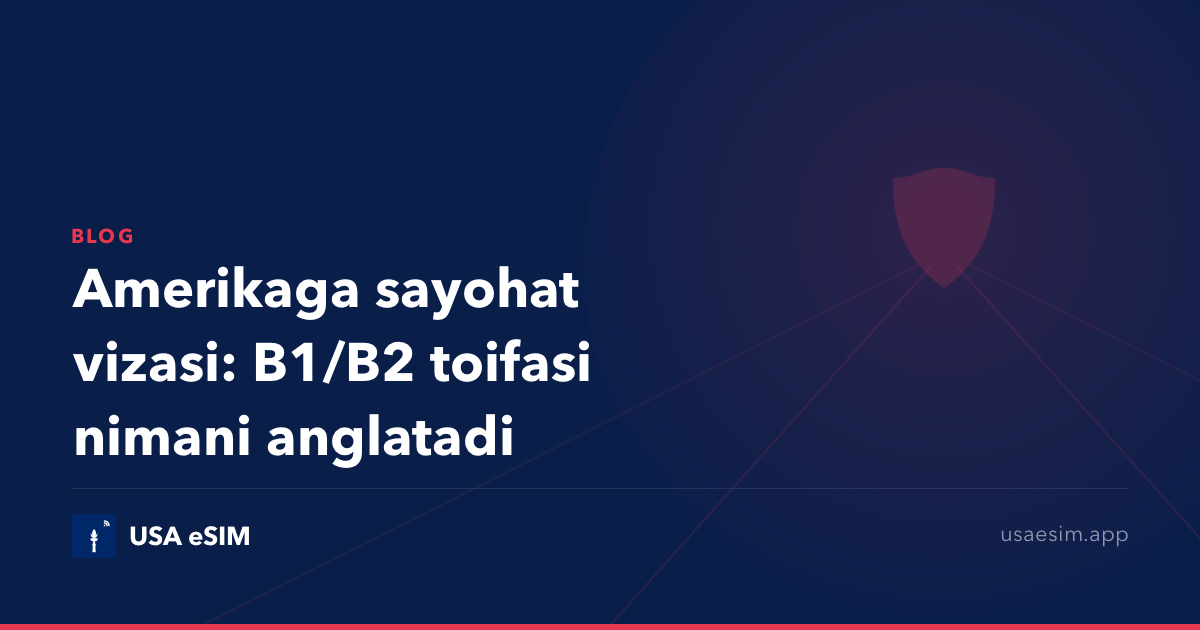 Amerikaga sayohat vizasi: B1/B2 toifasi nimani anglatadi