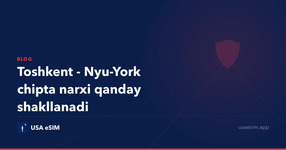 Toshkent - Nyu-York chipta narxi qanday shakllanadi